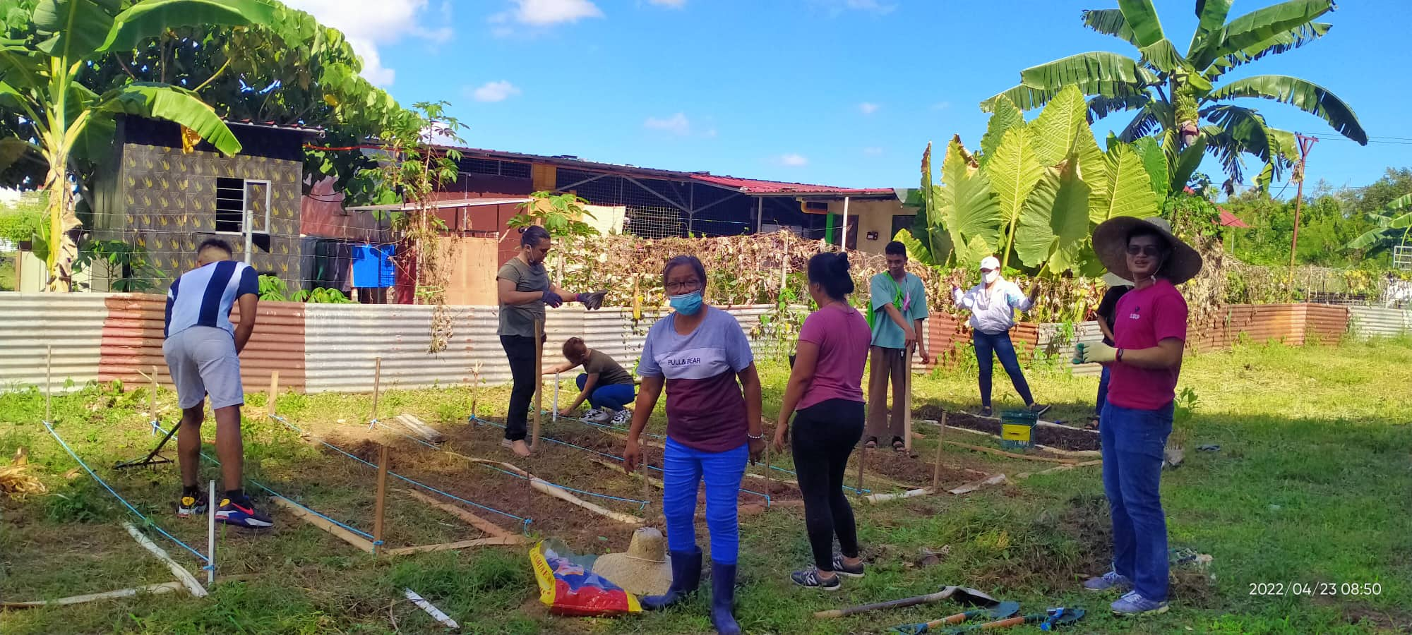 Gardening 3