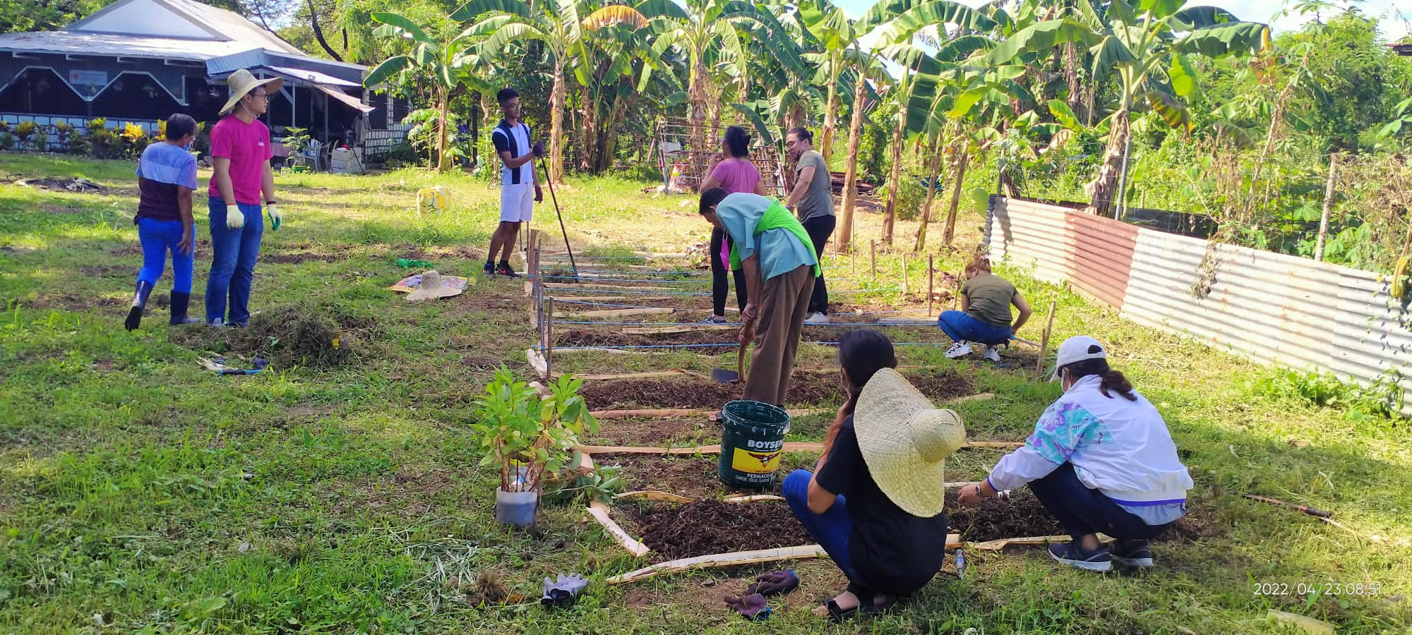 Gardening 5