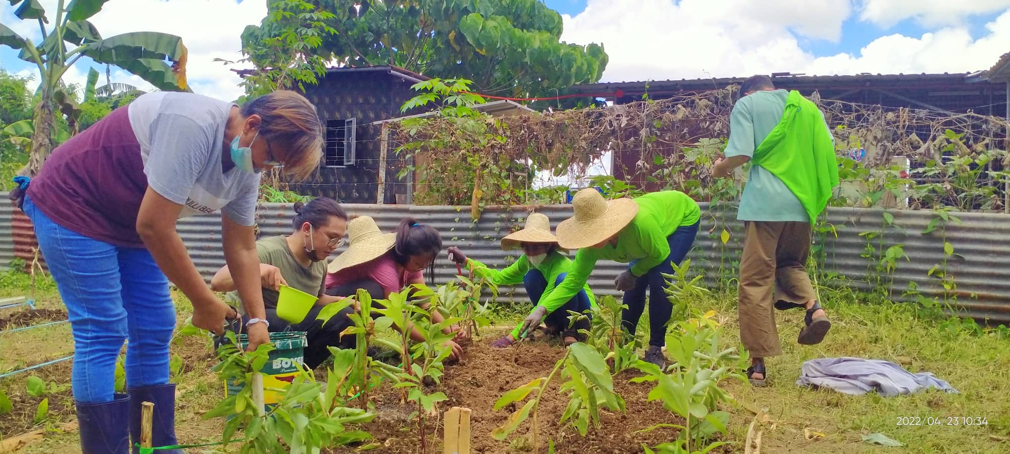 Gardening 8